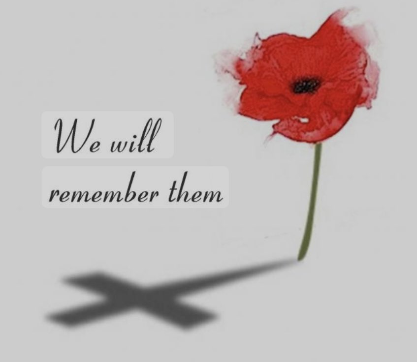 Alison Murphy tweet media