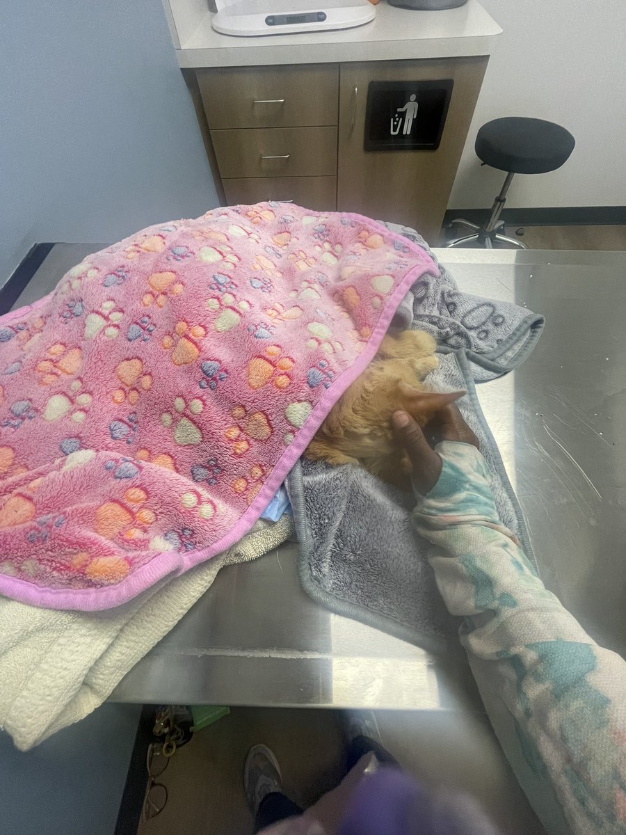 love my baby boy Casey… he passed today peacefully.. he was 16. he has been through my recovery and has helped me grow. he was my recovery present once i got out of one of my residential treatments… i’ll be off for the week. i just can’t