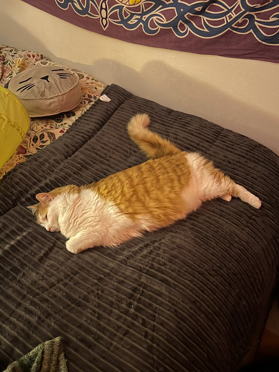 bebebiche's tweet photo. il travaille pour puma https://t.co/TFtYxJCfSP
