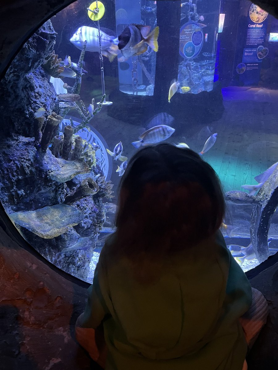 Anne-Marie Gallogly💙 tweet media