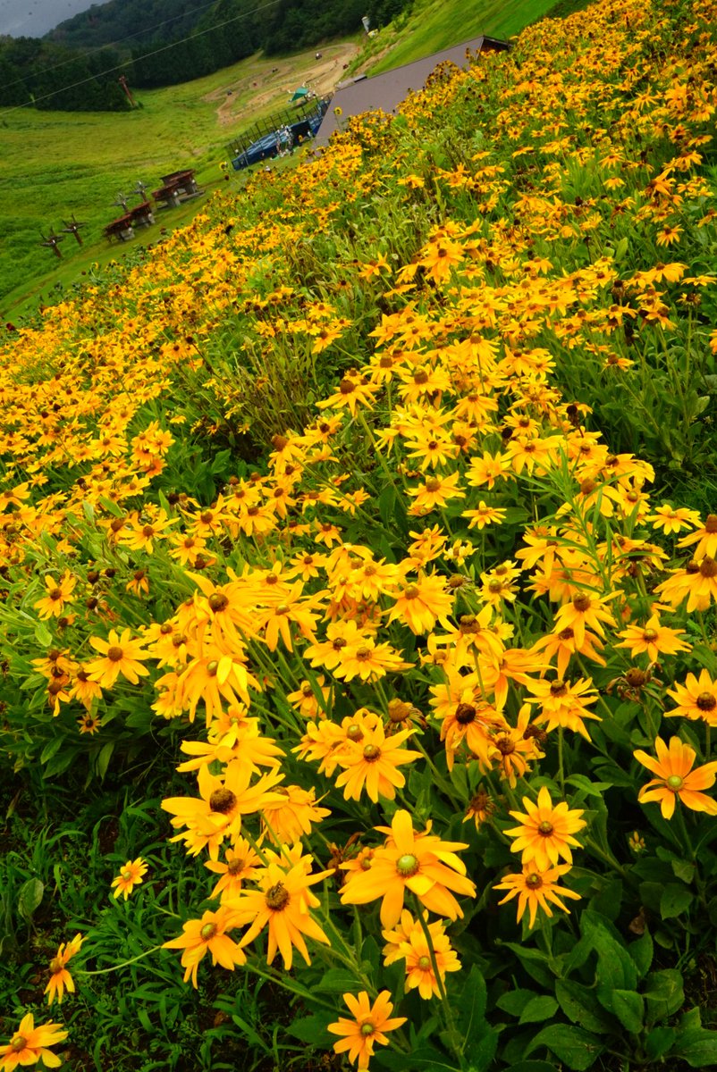 まこと (@yamakoto01) / Posts / X