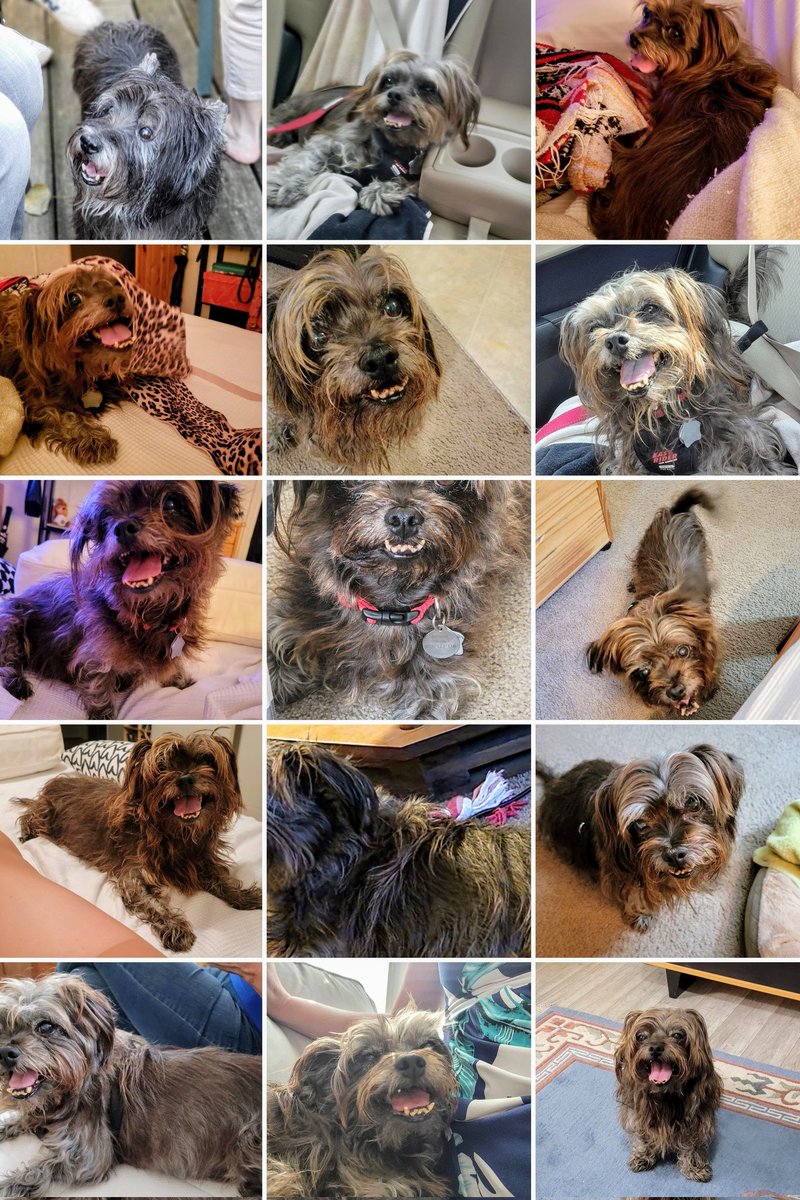 Anne Barela tweet media