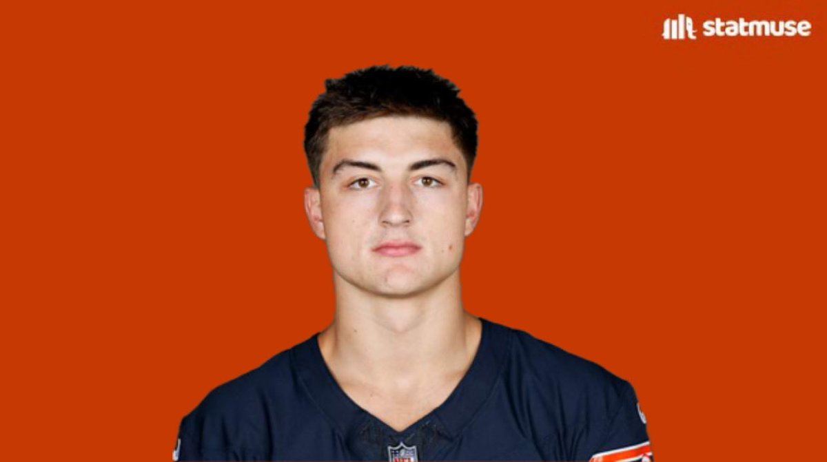 BearsMuse tweet media