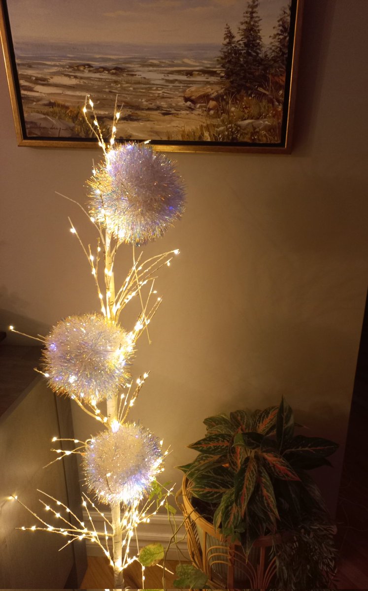 Première neige ❄️❄️
Décos de Noël 🎁
C'est un début 😉