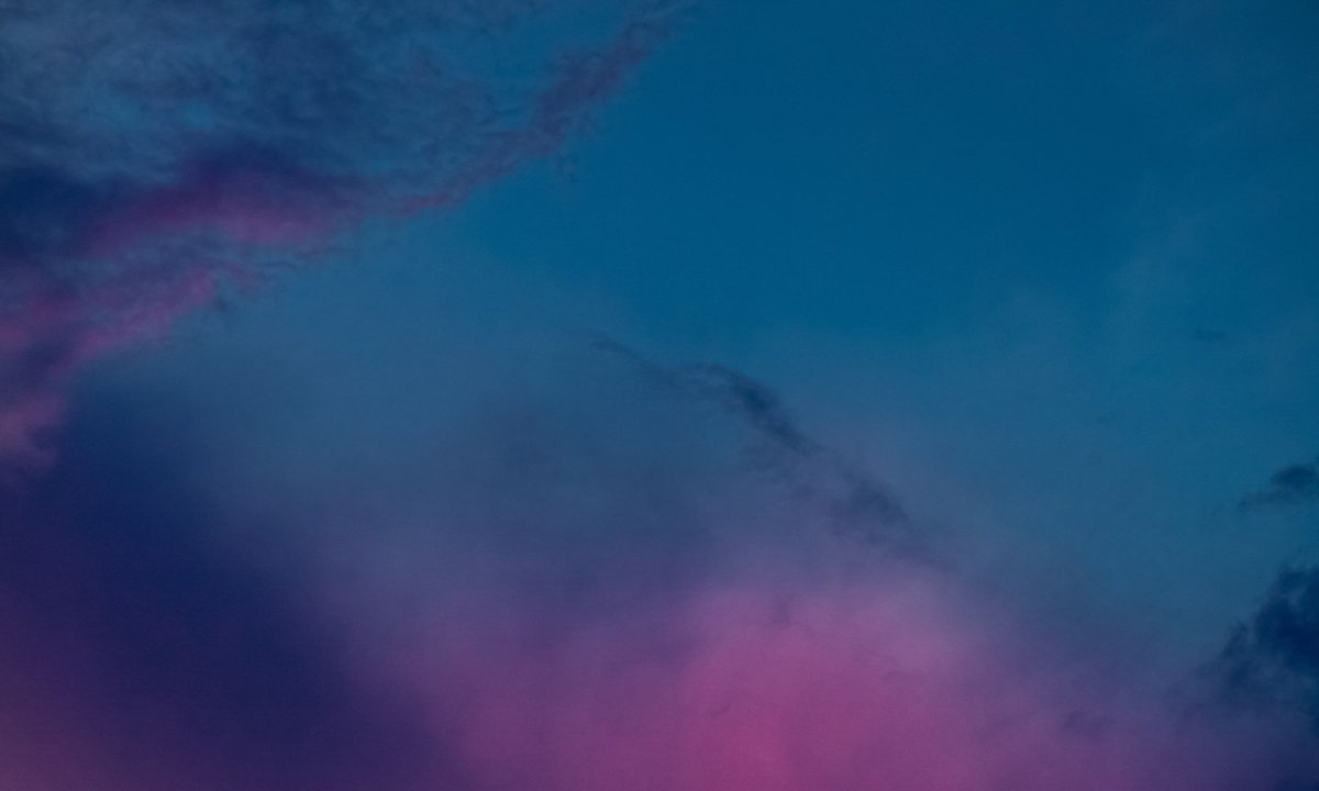 gardenofcolours's tweet image. 