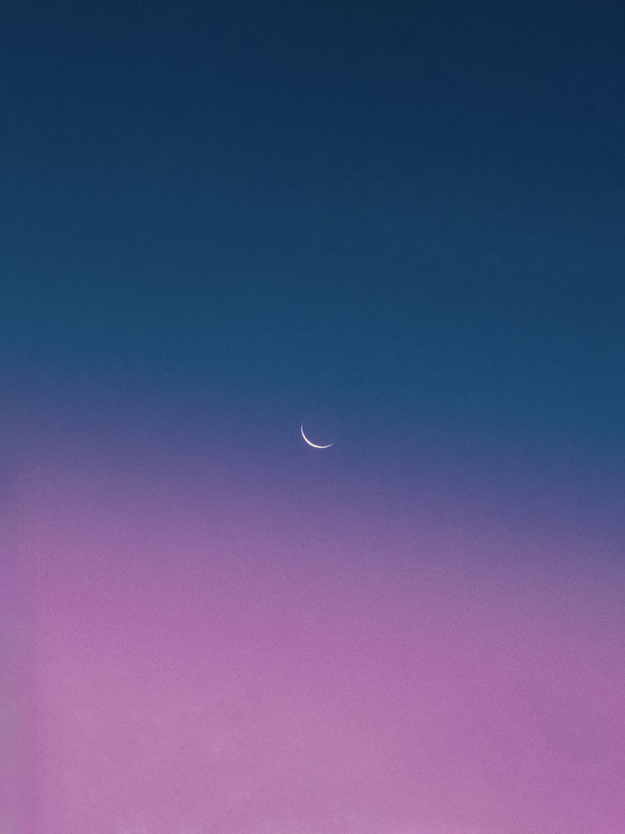 gardenofcolours's tweet image. 