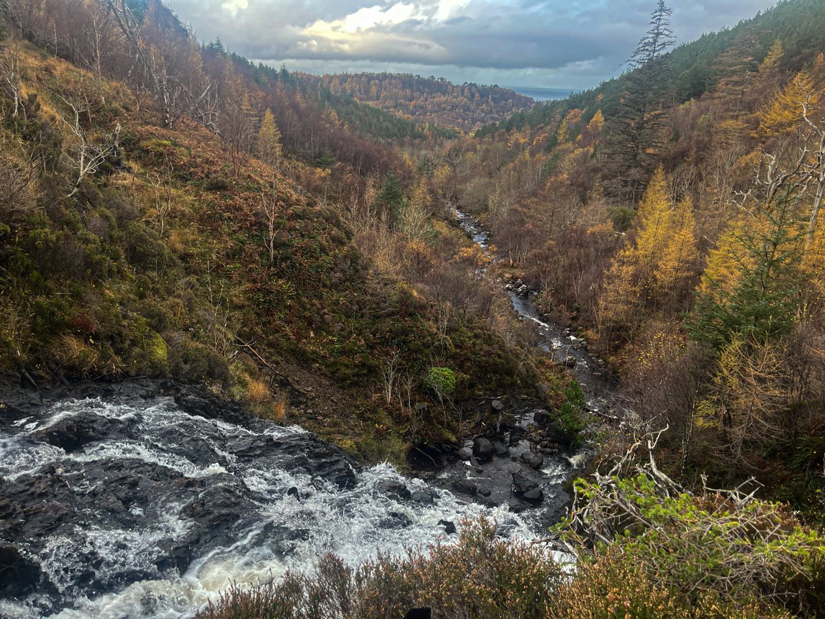 CaitSearl's tweet photo. The Flowerdale waterfall walk in autumn always give good dramatic colours as a backdrop to the waterfalls enhanced by the recent rainfall. #photography #WesterRoss #NWHighlands https://t.co/GxScLbtTB4