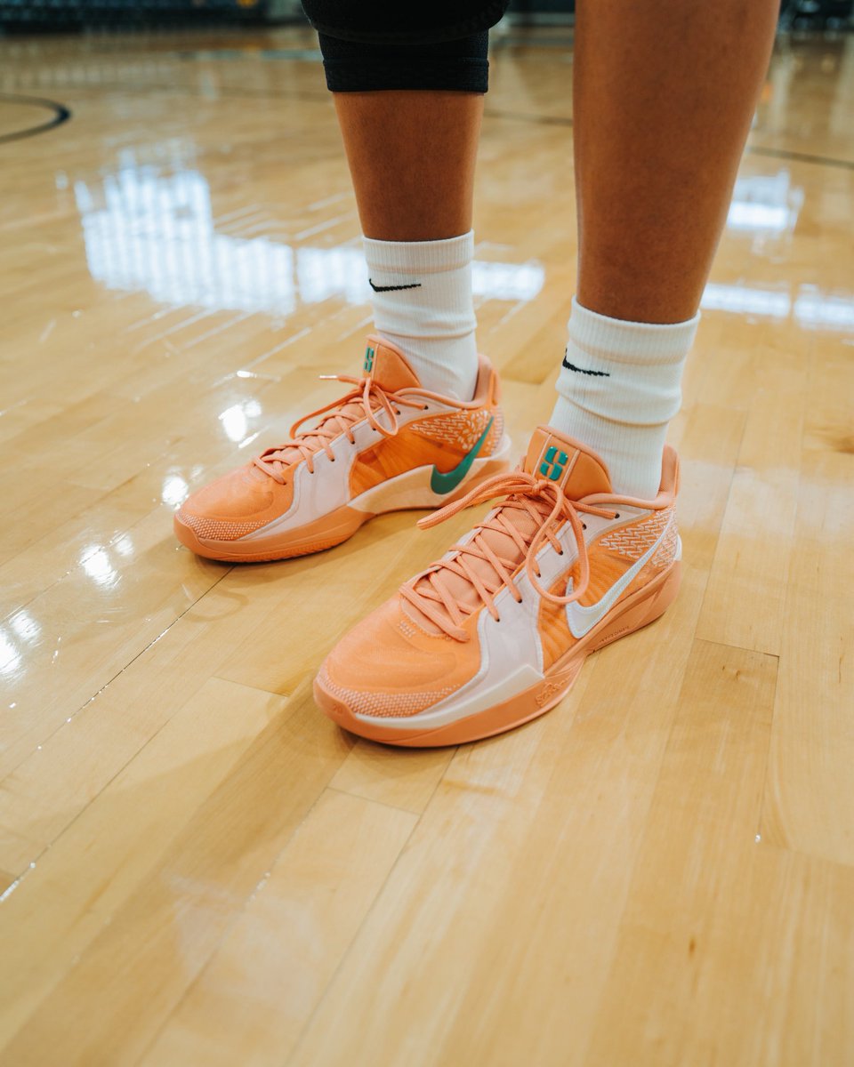 Idaho WBB tweet media