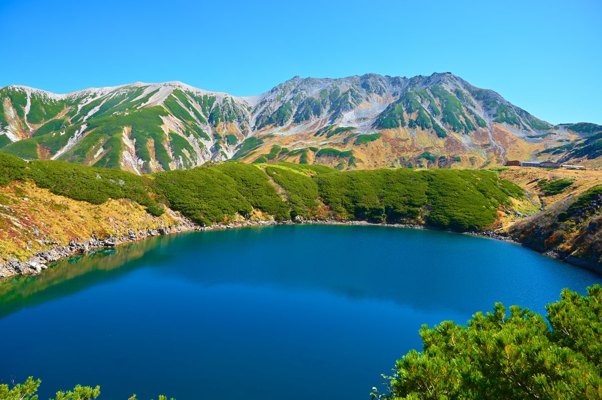 JTB〈公式〉国内旅行・海外旅行✈ tweet media