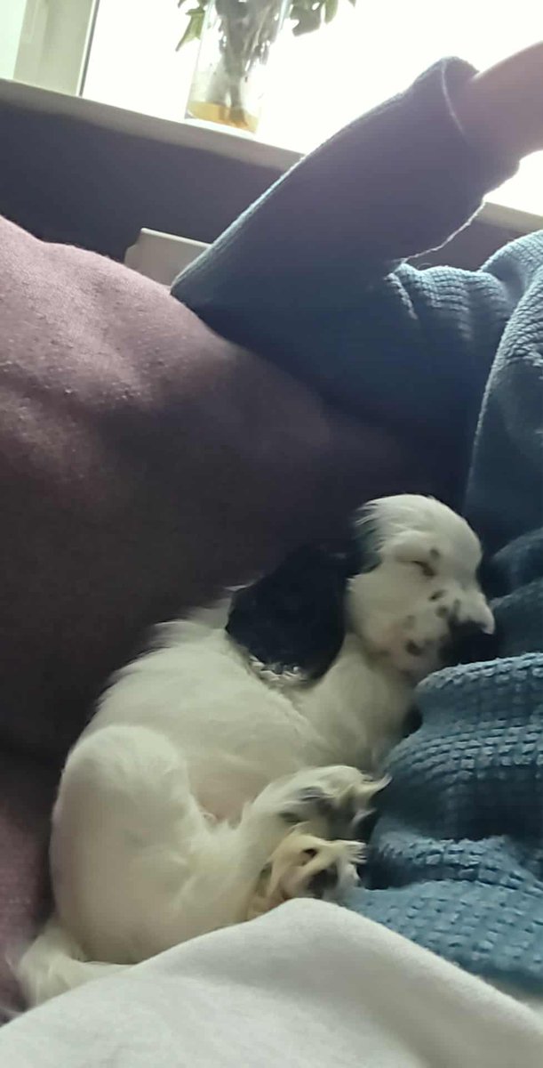 TakeOnMikeVA tweet media