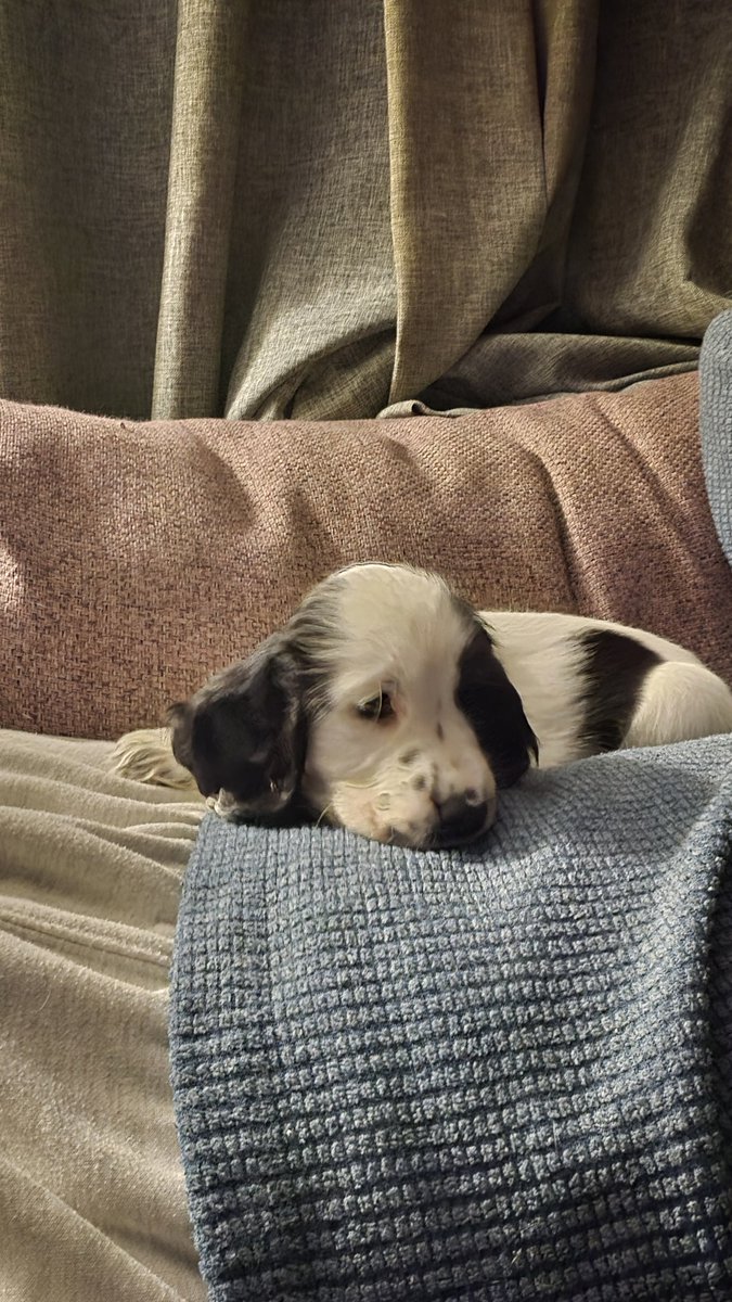 TakeOnMikeVA tweet media