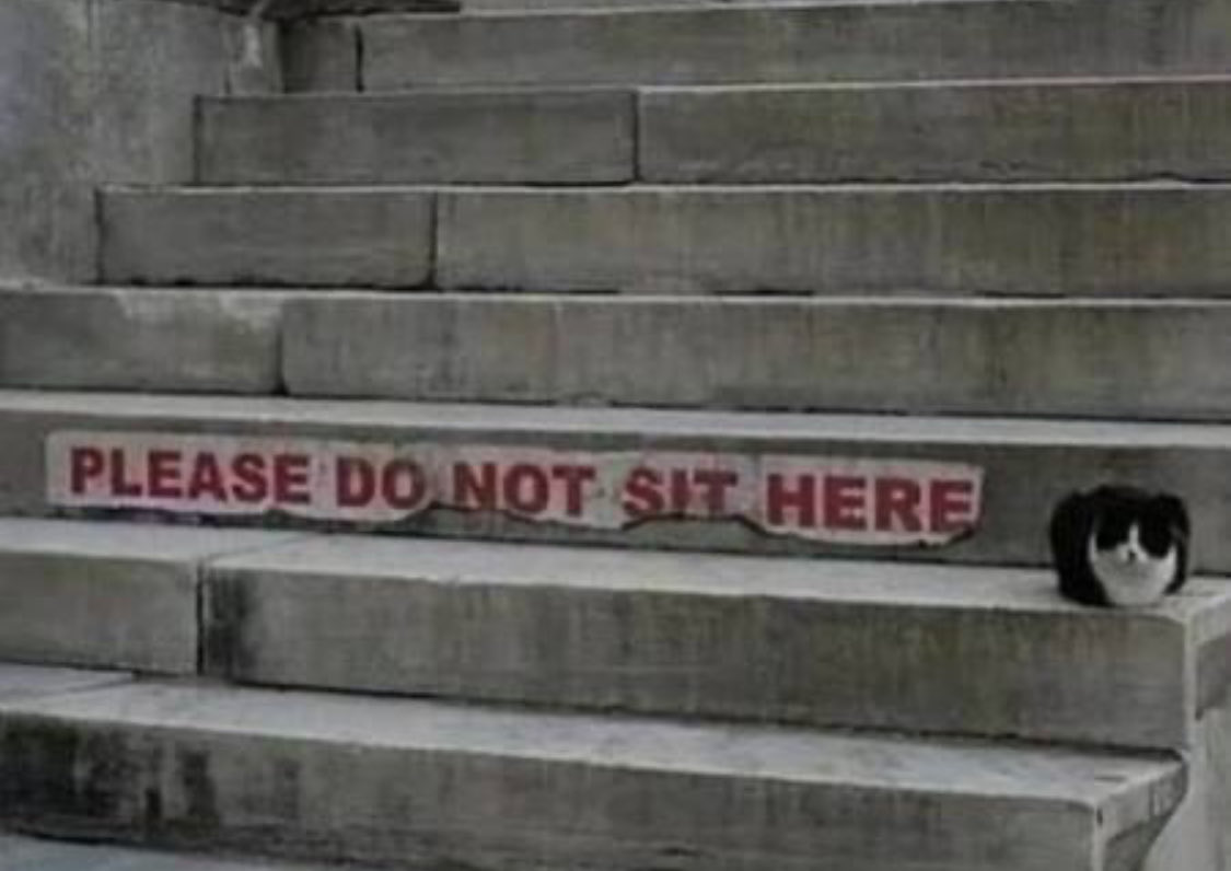 Maximizing the distribution of block production in proof of work is the only way to effectively maximize censorship resistance.

Local, open source.

This is why <a href="/LithosProtocol/">LITHOS Protocol</a>