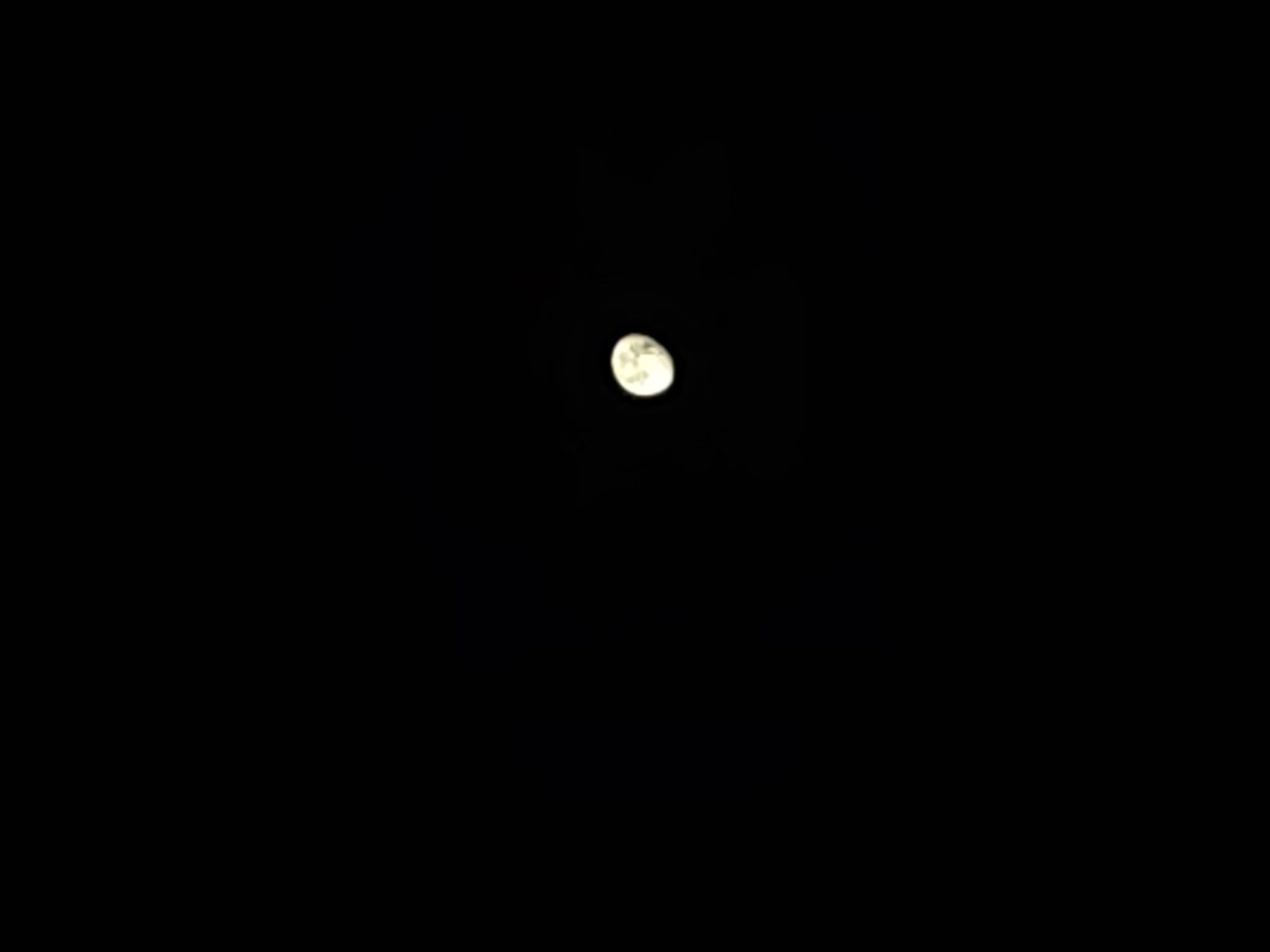GST393383980039's tweet photo. 去看月亮和日出了 https://t.co/pey1UaRQe0