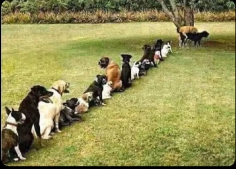 How PL teams are waiting to play with liverpool #LIVMCI