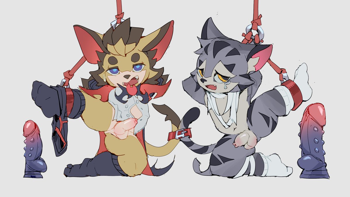 这样的招待不是很合理吧......