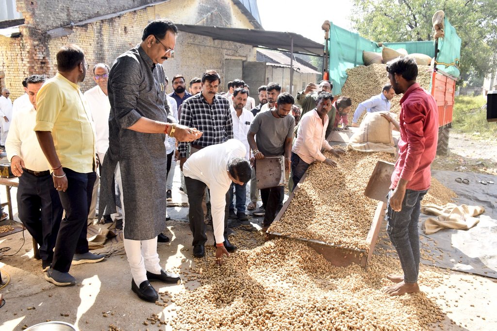 jitu_vaghani's tweet photo. "ટેકાના ભાવે ખરીફ પાકોની ખરીદીનો આજથી રાજ્યવ્યાપી શુભારંભ"

માન. મુખ્યમંત્રી શ્રી @Bhupendrapbjp જીના દિશાનિર્દેશ હેઠળ ખેડૂતો પાસેથી રૂ. ૧૫,૦૦૦ કરોડથી વધુ મૂલ્યની મગફળી, મગ, અડદ અને સોયાબીનની ખરીદીનો નિર્ણય કરવામાં આવ્યો છે. જેના પગલે ગાંધીનગર જિલ્લાના દહેગામ ખાતે ટેકાના ભાવે ખરીદીનો શુભારંભ કરાવીને ખરીદી માટેના સમગ્ર આયોજનની તલસ્પર્શી માહિતી મેળવી તેમજ ખરીદી વ્યવસ્થાનું નિરીક્ષણ પણ કર્યું.

આ વેળાએ વેચાણ કરવા આવેલા વિવિધ ખેડૂતમિત્રો સાથે સહજ ભાવે પ્રત્યક્ષ સંવાદ પણ કર્યો. આ સંવાદ દરમિયાન ધરતીપુત્ર અન્નદ���તાઓએ બજાર કરતા પણ વધુ ભાવે જણસીની ખરીદી કરવાના ખેડૂત હિતલક્ષી નિર્ણયની સરાહના કરીને કેન્દ્ર અને રાજ્ય સરકારનો આભાર વ્યક્ત કર્યો.