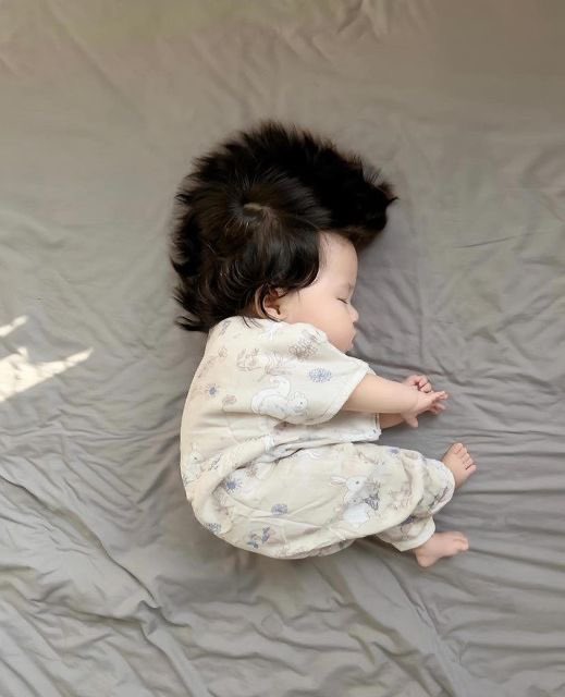 fat chinese baby tweet media
