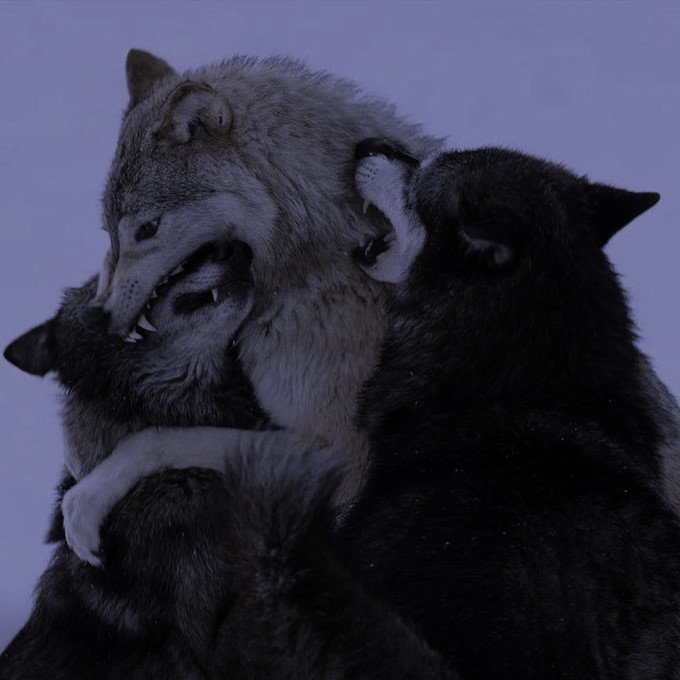 ✞ 🗝️ (@hakaelll) on Twitter photo 