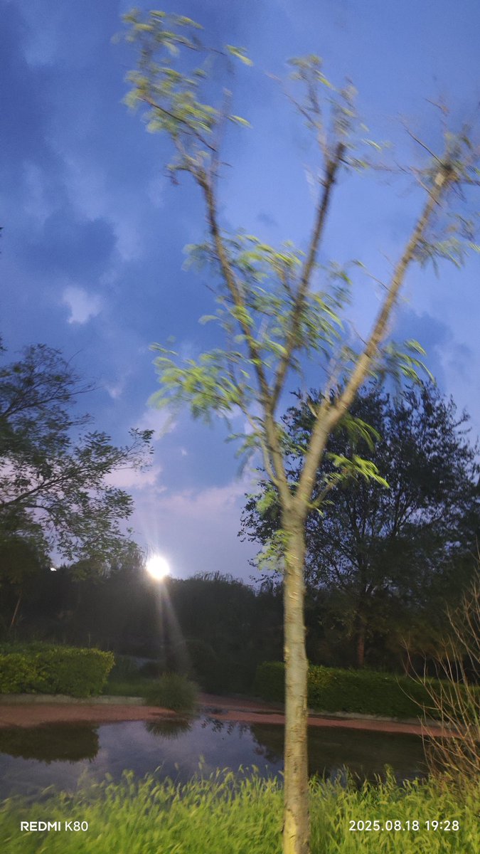 a1413024330's tweet photo. 迷惘
倘若无法回应的话，那就别管我了
要是迷茫不定，不如早日放手
反正关键的地方早就暴露无遗
要是能降下令人安心的雨
应该会有撑伞的欲望吧？
要是 能像这样一直幻想就好了 https://t.co/qcvouW7I3C
