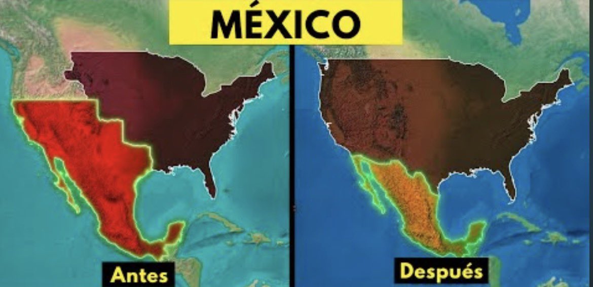 More tischler tweet media