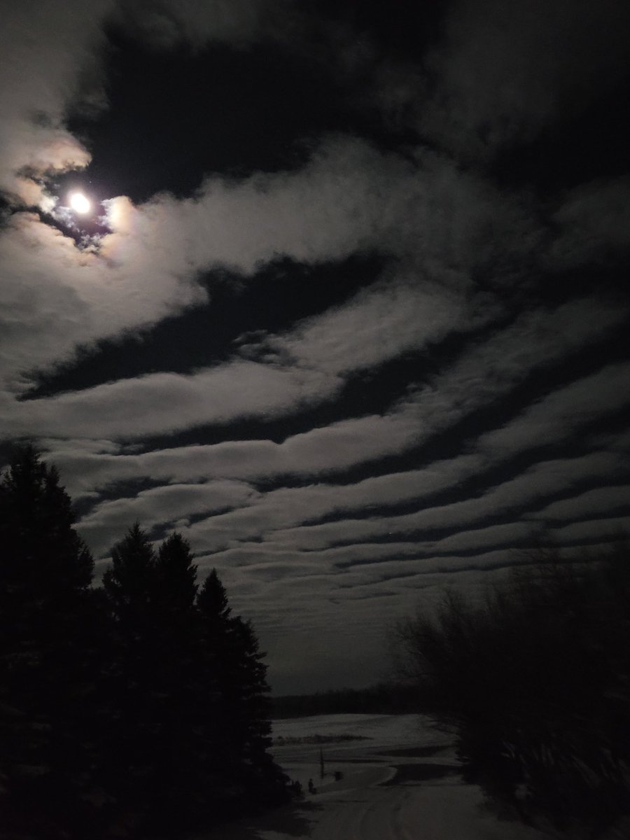 kabanck's tweet photo. Ripples in the sky caught my eye 😁
cool cloud formation in our #Saskatchewan night sky @weathernetwork @MurphTWN @PQuinlanGlobal https://t.co/BLunNTLzI7