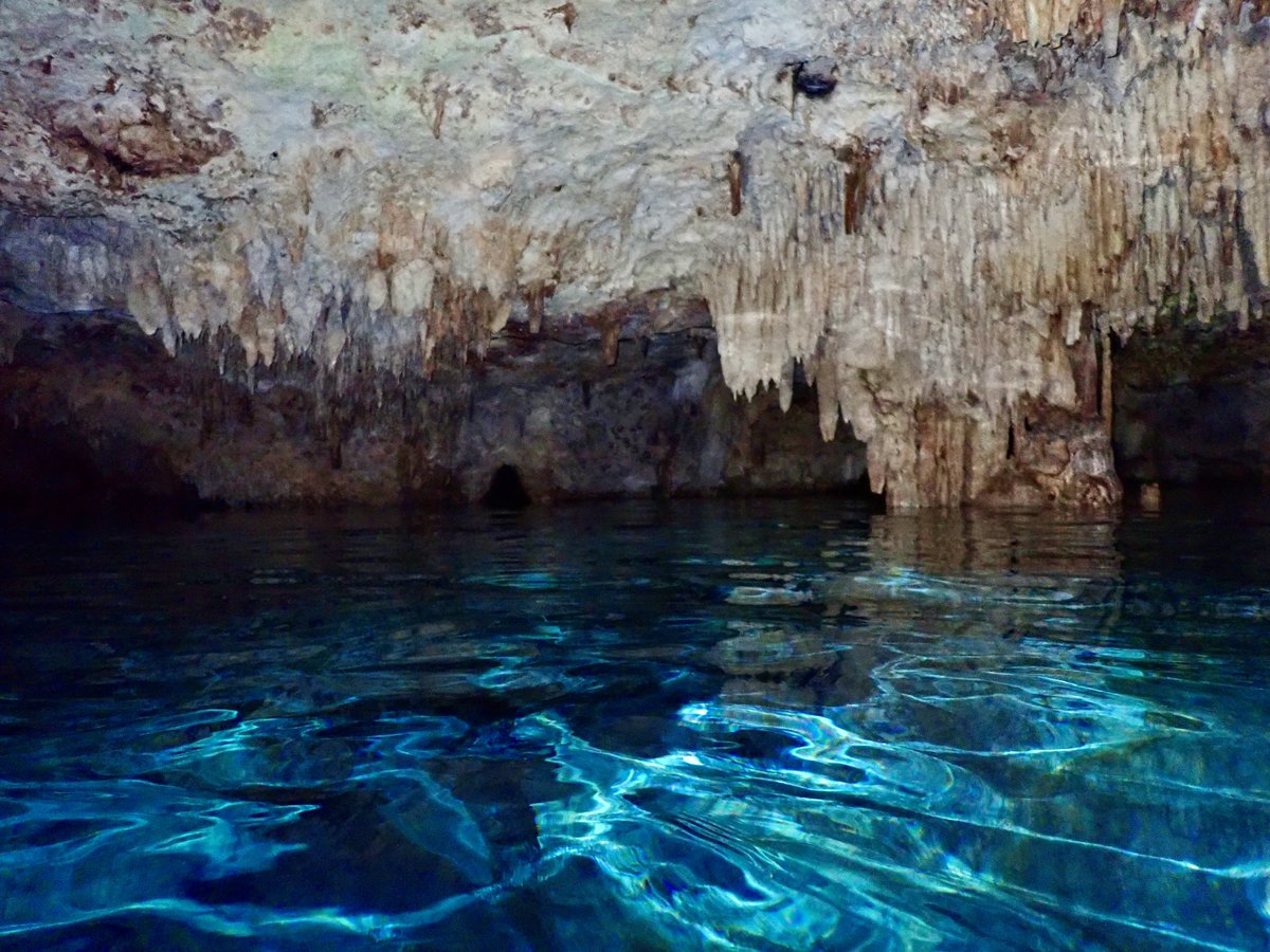 badbrain33's tweet photo. @DailyPicTheme2 #DailyPictureTheme  #Invigorating 

Aktun Chen cenote 🇲🇽 https://t.co/OrT15XLSwl