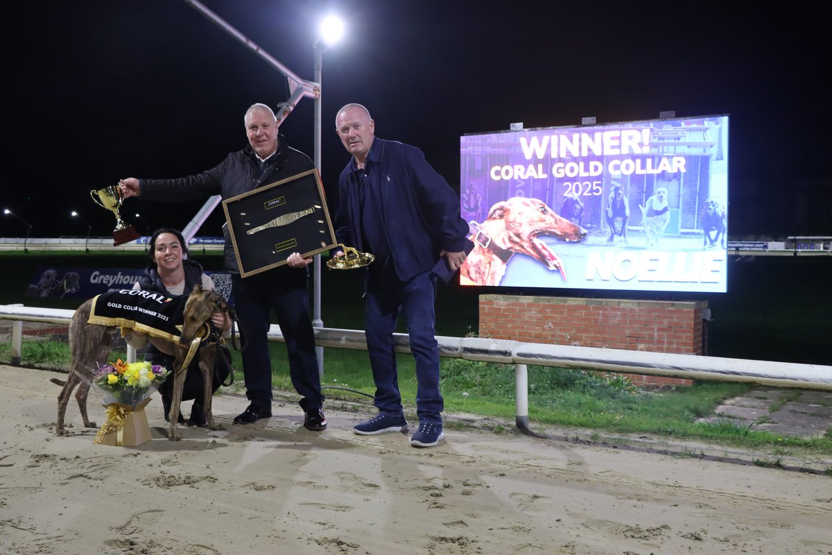 Race 9 - Coral Gold Collar Final

🥇T4 - Noellie

Trainer - Paul Young (<a href="/RomfordDogs/">Romford Stadium</a>)
Owner(s) - Mr.A.Head

Winning time ⏰️ - 29.00

A massive congratulations from all at Hove! 🎉
