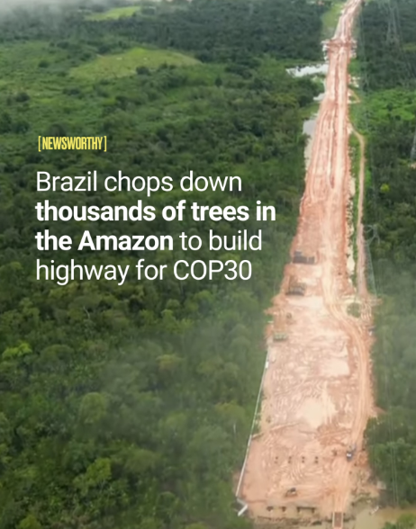 gervap's tweet image. Trump just exposed the destroyed Amazon for environmentalists&apos; highway—data: 500 hectares cleared for COP30. Oh the irony! Brazil bulldozing rainforest for the climate summit. Where&apos;s Greta&apos;s outrage?