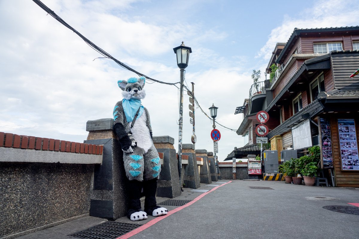 📷: <a href="/TangMoEat/">แตงโม@Shanghai</a>

✂️: <a href="/DRAGONGO02/">Dragon X2 (台灣)⏩ FURUM</a>

#FursuitFriday #MountainPineTW