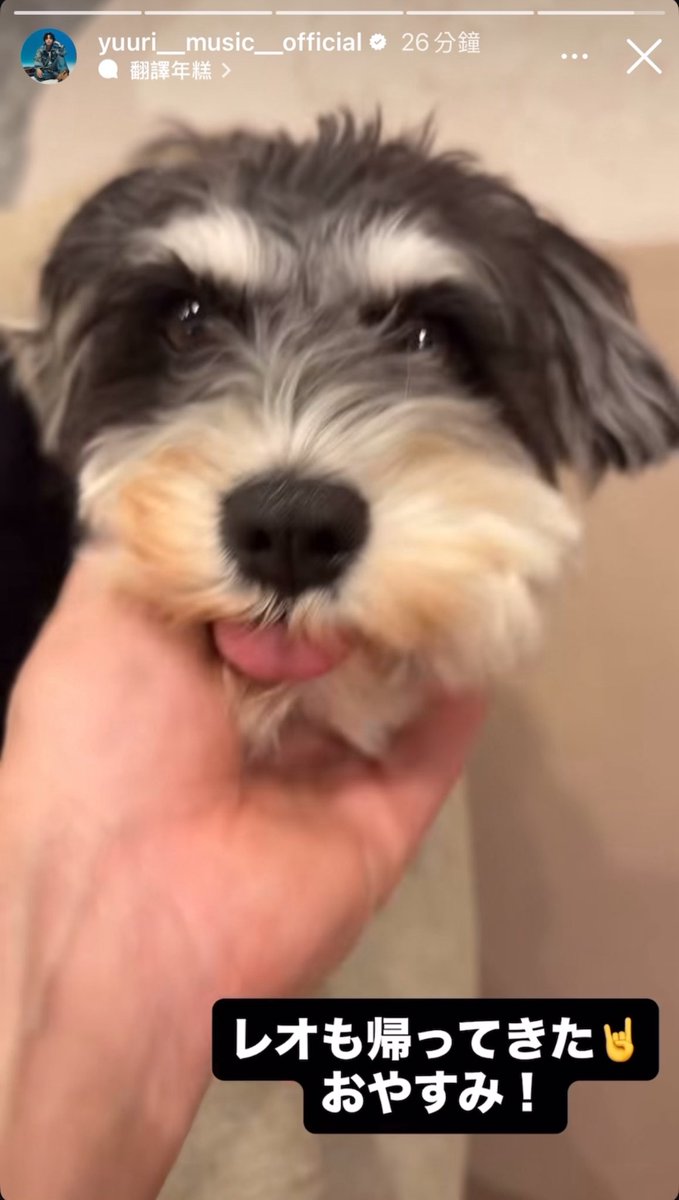 レオがかわいすぎて…溶けそう…🫠