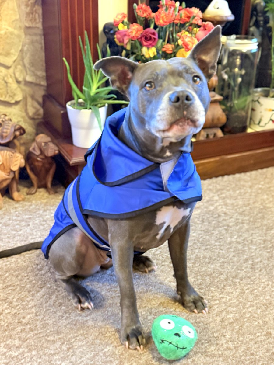 Isa Mary tweet media