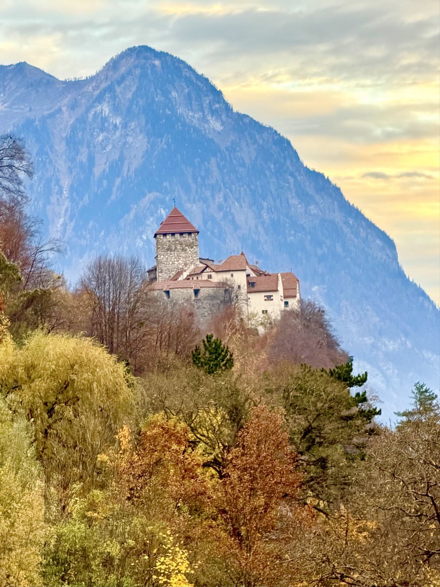 Callista Gingrich tweet media