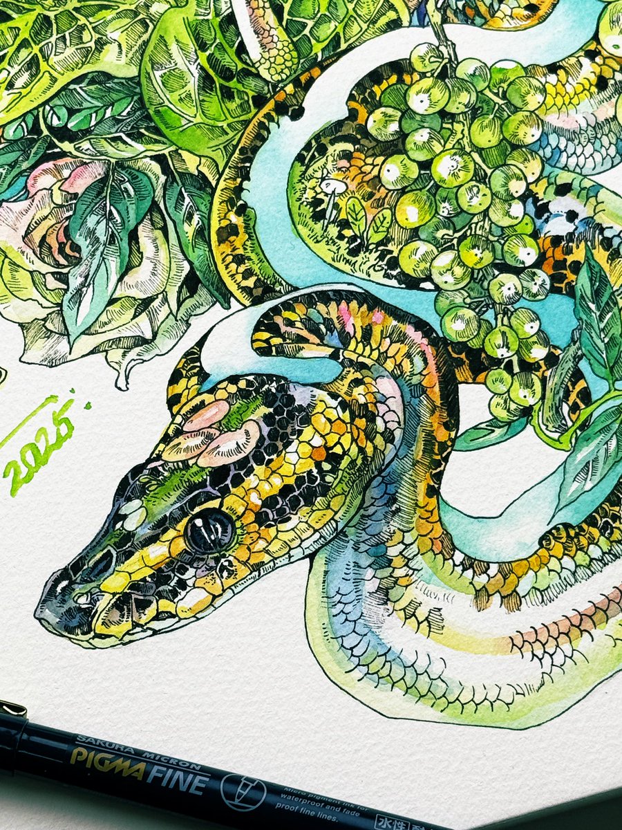 マツダケン@12/5〜17銀座個展 on X