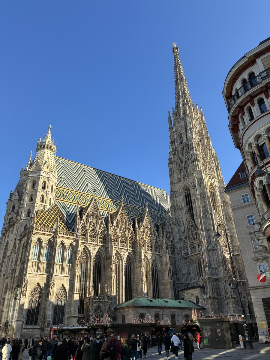 Wildkatze tweet media