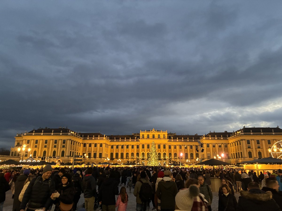 Wildkatze tweet media