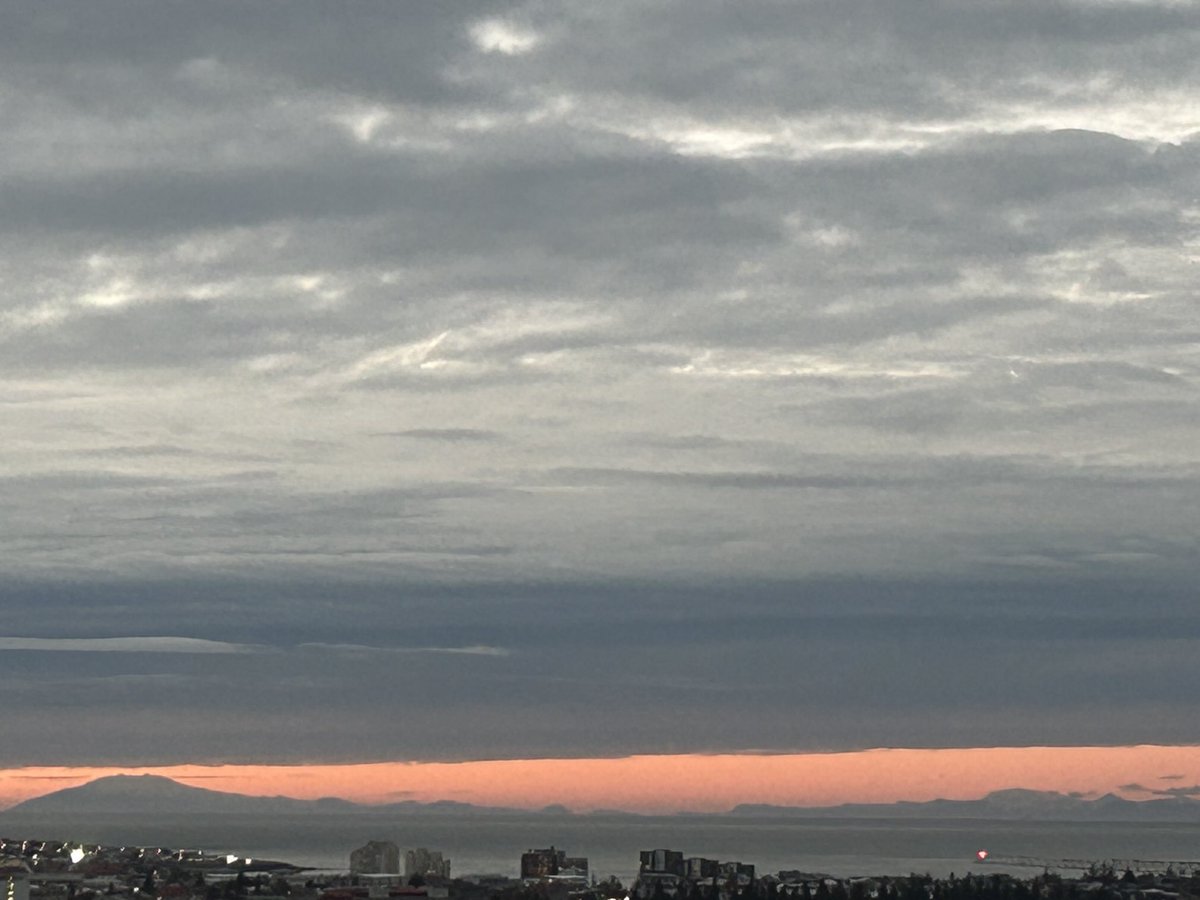 Dr. Bob Davies, President Emeritus and Professor tweet media