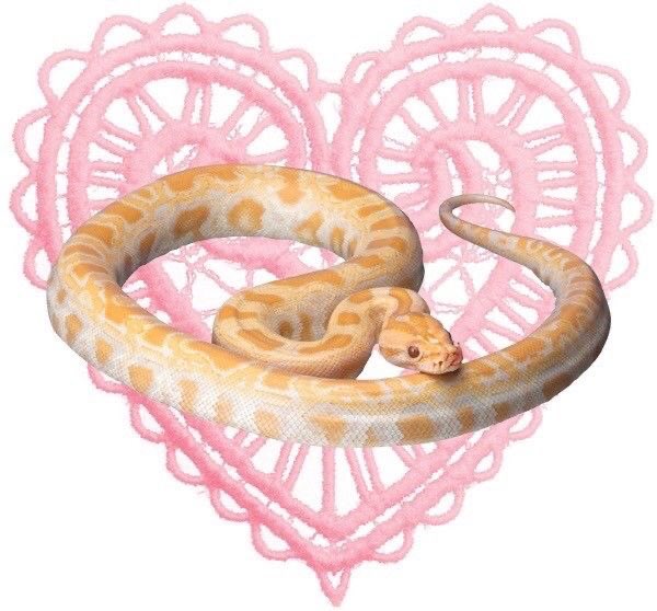 hatecest's tweet image. i don’t make sense and i don’t plan to make sense any time soon