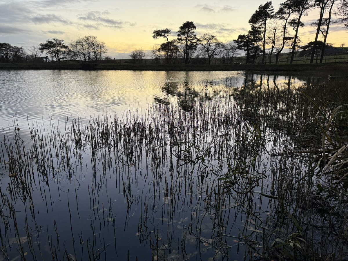 Lovethisland_'s tweet image. Autumn gloaming. Bowden Loch. Scottish Borders.

“I miss you most of all my darling
When autumn leaves start to fall…”

#Borders #ScottishBorders #eveningwalk #Scotland