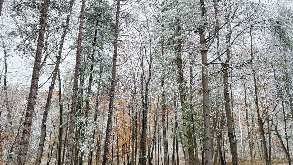 I’m have a nostalgia day ❄️🪾🍂