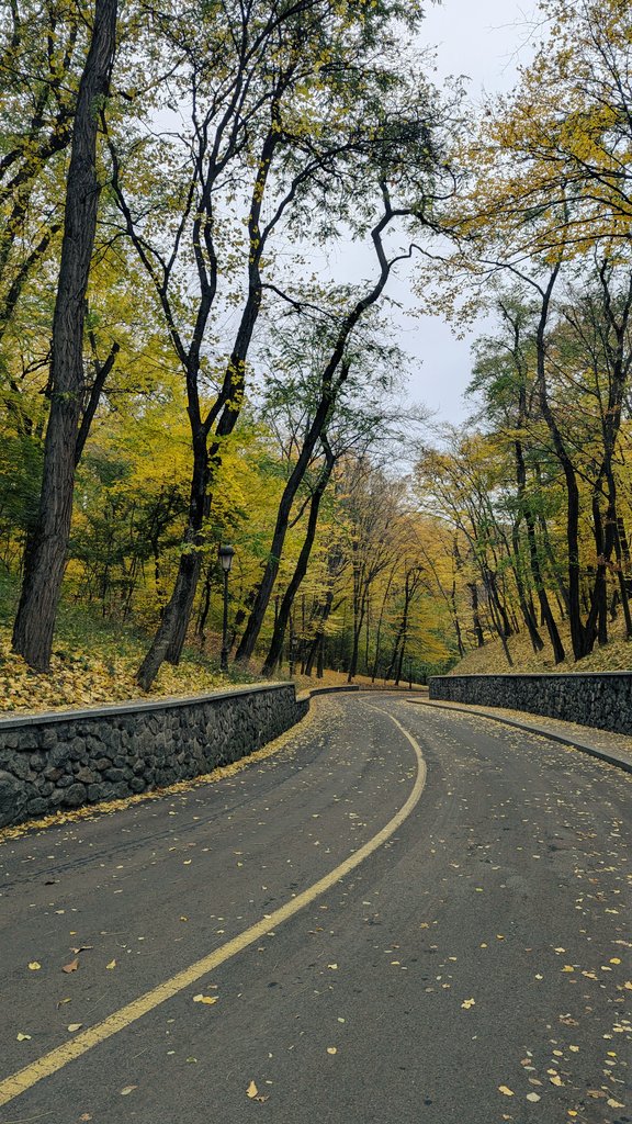 imsupercat_'s tweet photo. #Autumn https://t.co/FtogAoGWKU