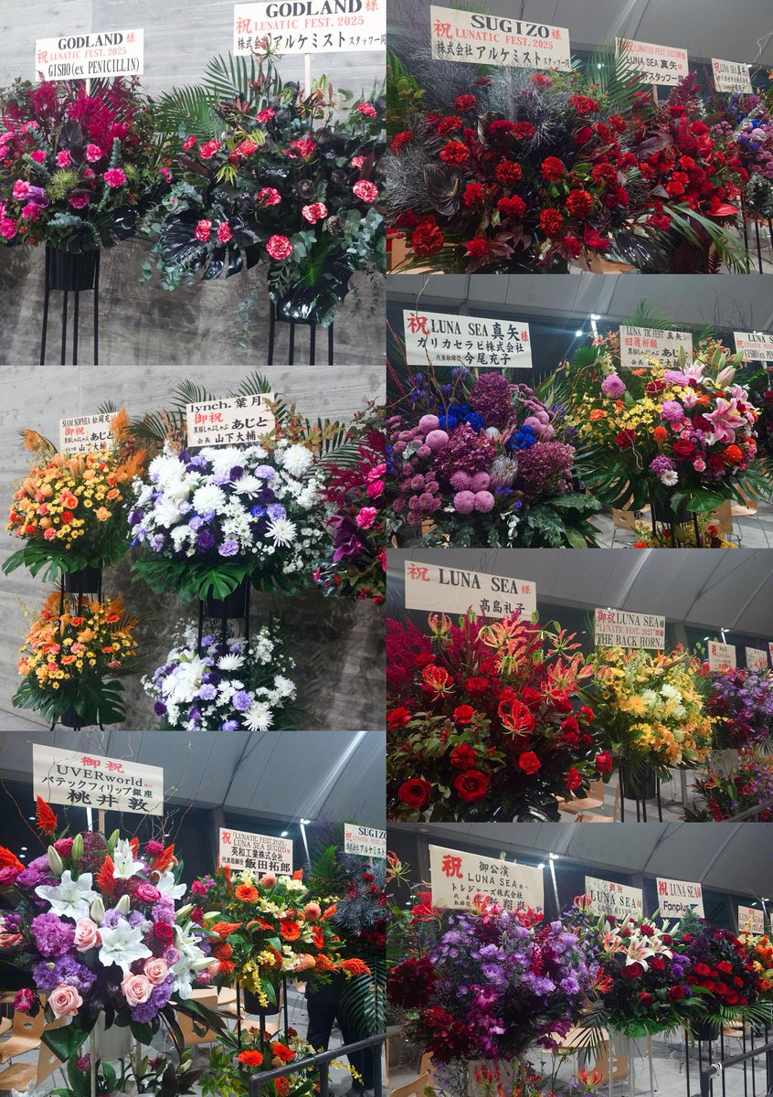 サウザンドウインター on X