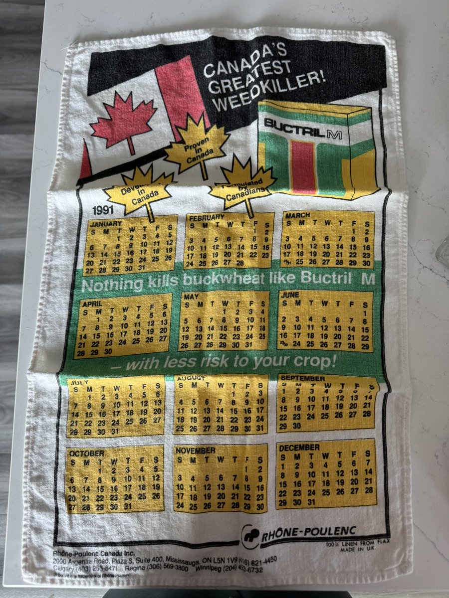 mackenzie seidle tweet media