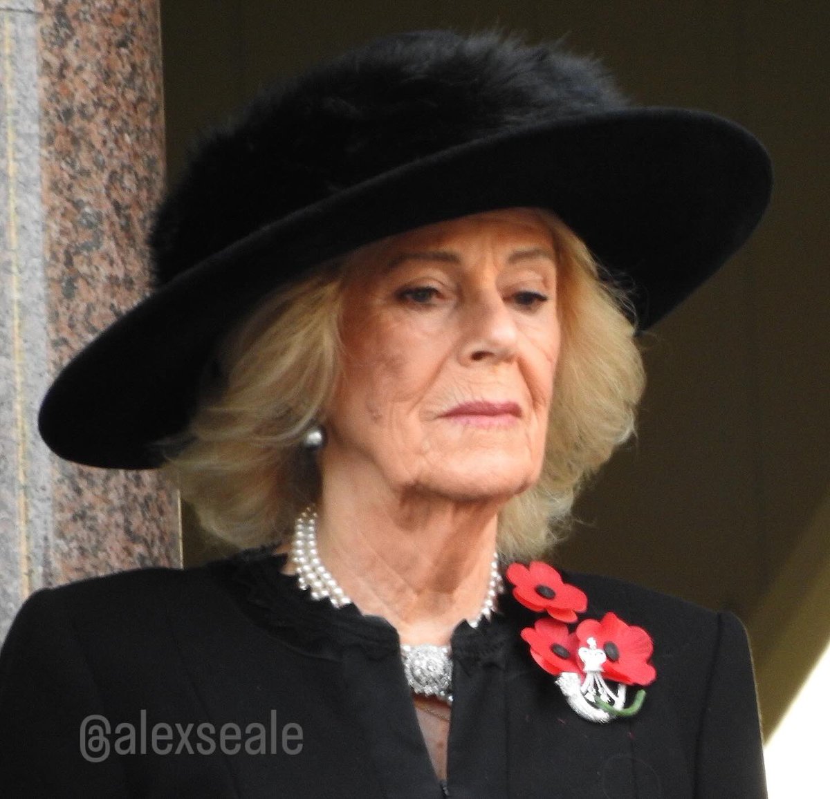 AlexSeale's tweet photo. More shots from today’s Remembrance Sunday at the Cenotaph, taken on my Nikon. A mix of ceremony, stillness, and powerful moments across Whitehall. #DukeofGloucester #DuchessofGloucester #QueenCamilla #RoyalFamily #London https://t.co/i846gSZLHB
