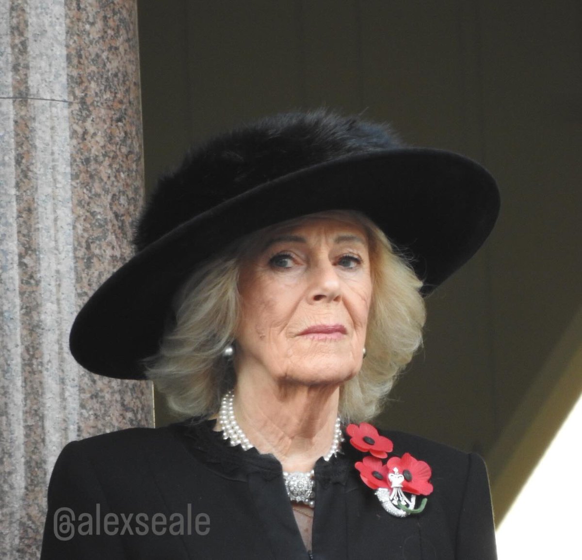 AlexSeale's tweet photo. More shots from today’s Remembrance Sunday at the Cenotaph, taken on my Nikon. A mix of ceremony, stillness, and powerful moments across Whitehall. #DukeofGloucester #DuchessofGloucester #QueenCamilla #RoyalFamily #London https://t.co/i846gSZLHB