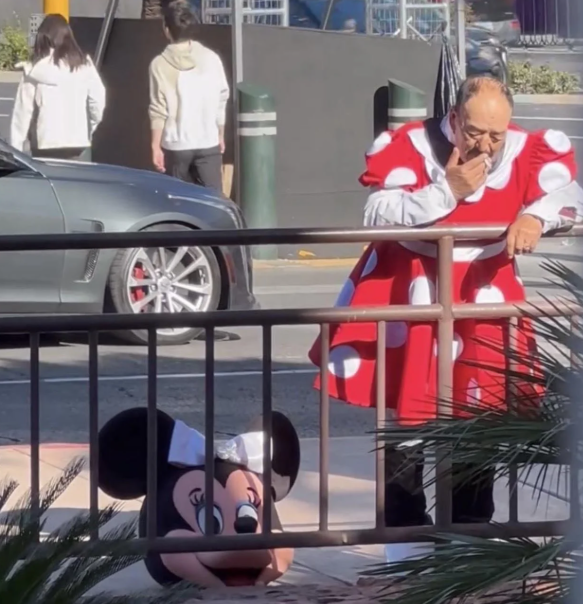 Kit 🏴󠁧󠁢󠁳󠁣󠁴󠁿 tweet media