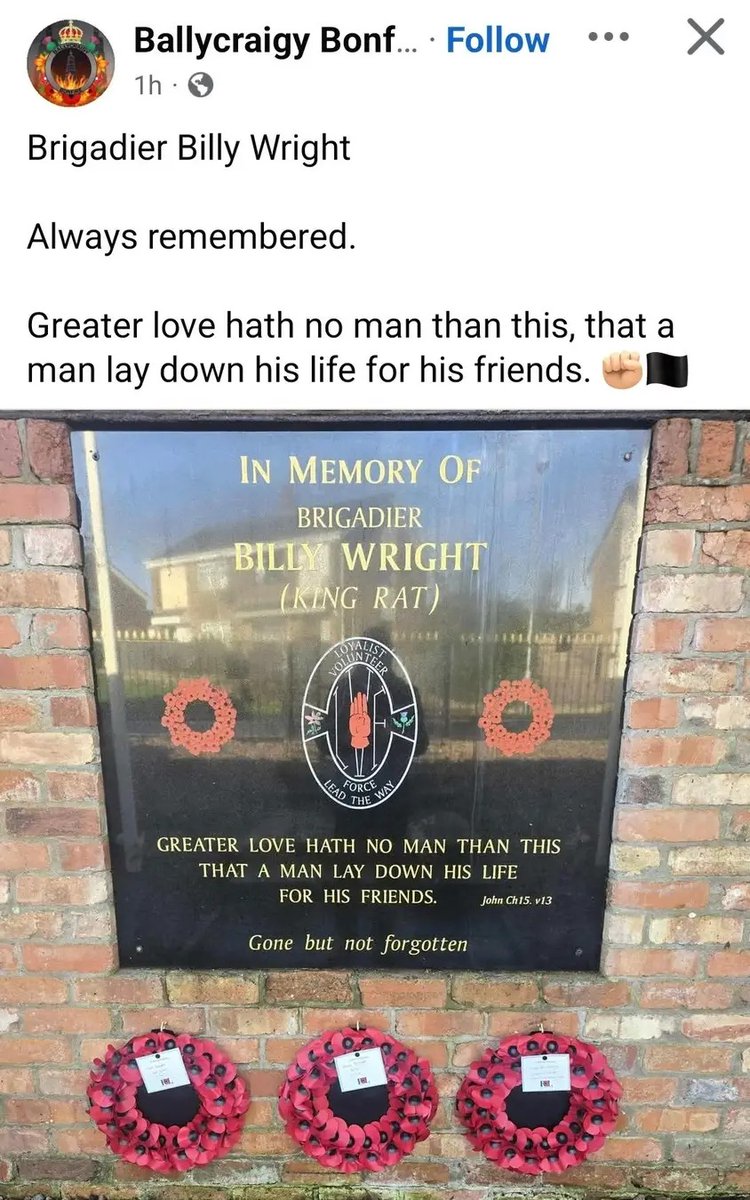 He didn't lay down his life for anyone 

Another terrorist glorified with a poppy.

 Silence from unionism 🫣