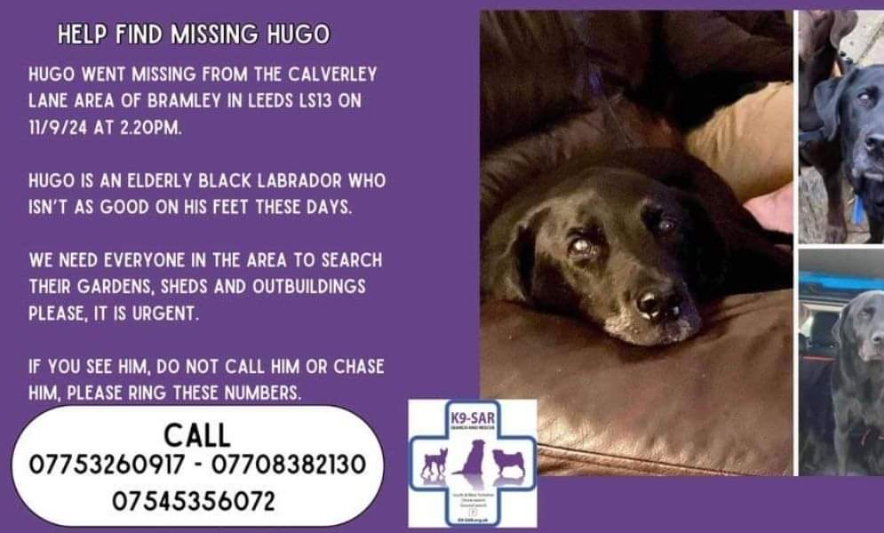 MissingPetsGB's tweet image. 💔WHERE ARE YOU HUGO?
Hugo’s whole family is heartbroken, all they want is for him to be safe &amp;amp; home where he belongs
Elderly Lab
Slower on his feet
Doesn’t bark, makes more of an old man’s cough
Microchipped

Last seen Calverley Lane #Bramley #LS13 #Leeds 11/09/24 #stolendoghour