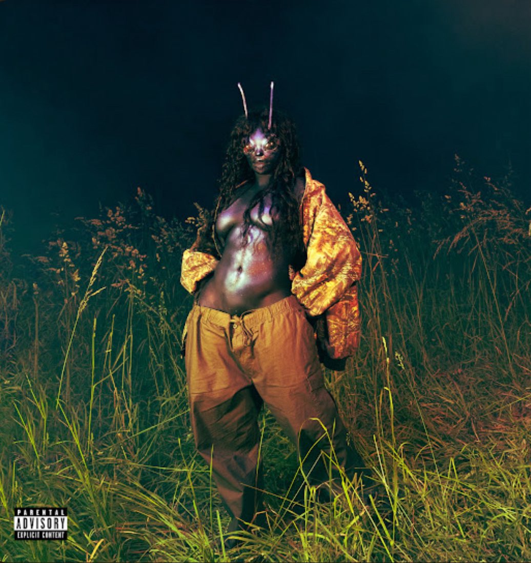 No more hiding <a href="/sza/">SZA</a> ✨