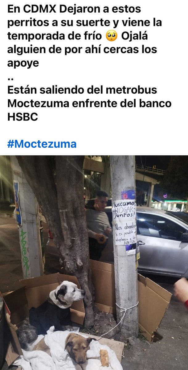RefugiOceaniCAN's tweet image. Amigos, estos perritos los dejaron abandonados afuera del metro.  Los vamos a recibir pero necesitamos ayuda para su protocolo médico antes de que ingresen a Oceanican.
Gracias por su ayuda. 🙏🏼🙏🏼🙏🏼
BBVA: 2973843610
Clabe 012180029738436107
Tarjeta 4152 3141 1677 5852 (depósito en…