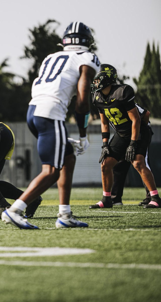 Eli Perez tweet media